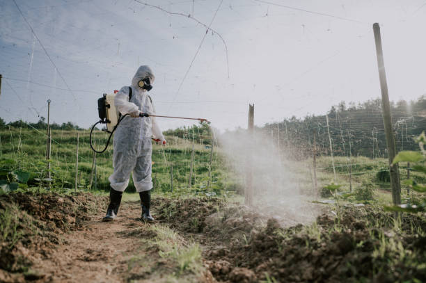 Best Ant Control Services  in La Grange, IL