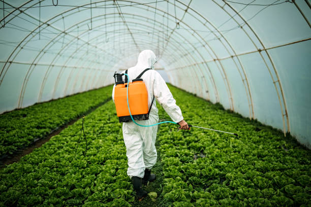 Professional Pest Control in La Grange, IL