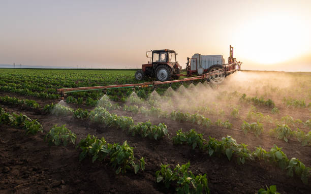 Best Best Pest Control Near Me  in La Grange, IL