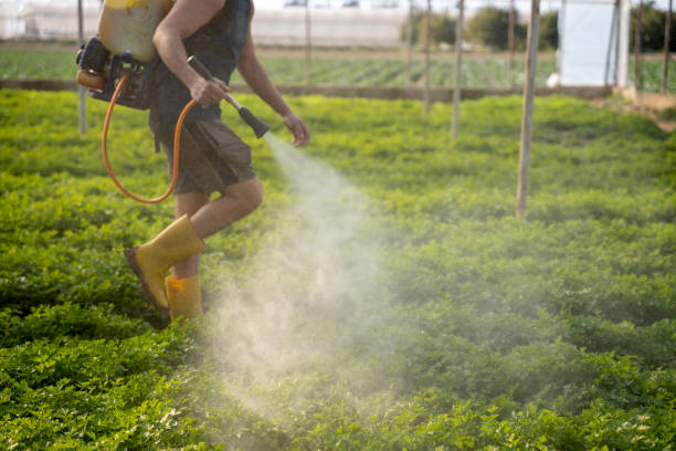 Best Commercial Pest Control Services  in La Grange, IL