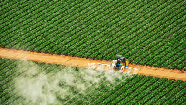 Best Pest Removal Services  in La Grange, IL