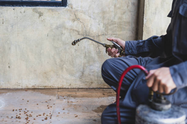 Best Emergency Pest Control  in La Grange, IL