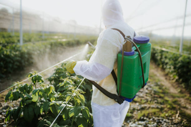 Best Flea Control Services  in La Grange, IL